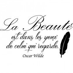 Sticker les folies selon Oscar Wilde pas cher - Stickers Citations discount  - stickers muraux - madeco-stickers